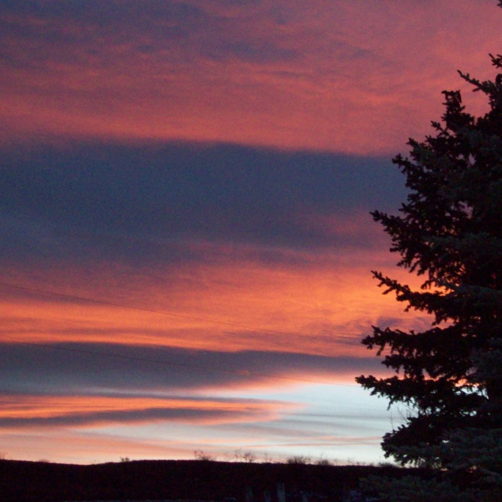 Meet your Posher, Di